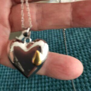 Beautiful Silver Memory Heart with Goldtone Teardrop Necklace